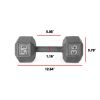 Multi-weight cast iron hexagonal dumbbell, single bar